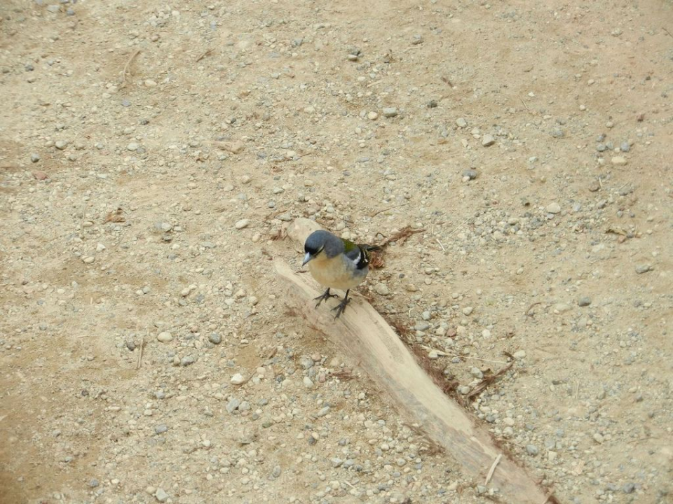 This one came really close