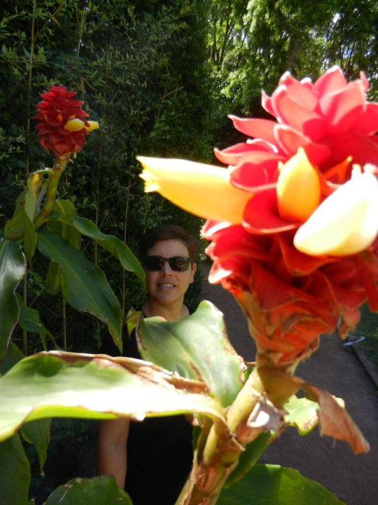 15.7. departure from S&atilde;o Miguel, but only after a last visit to the park, with, ...