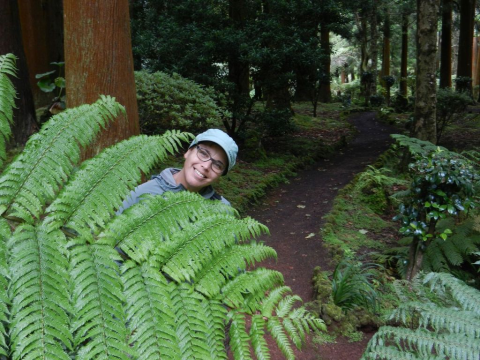 ... and smiling ferns ...