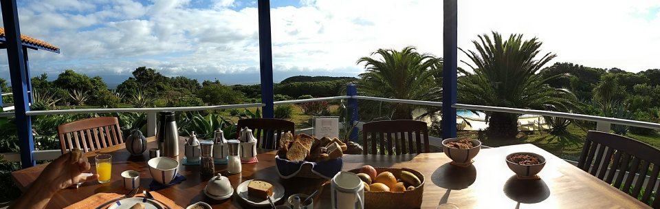 After a delicious dinner by our Bed & Breakfast hosts to close of our whale watching day, we started our last day on pico as usual