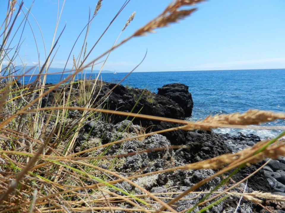 ... more beautiful colours, ...