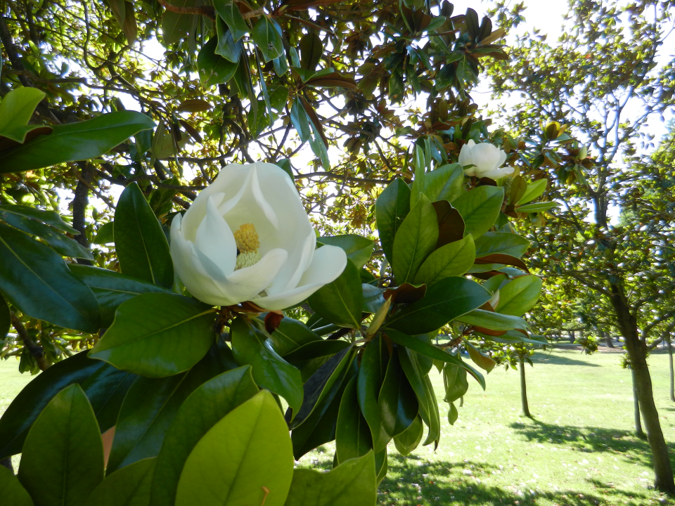 On our second day we passed a lot of time in the 