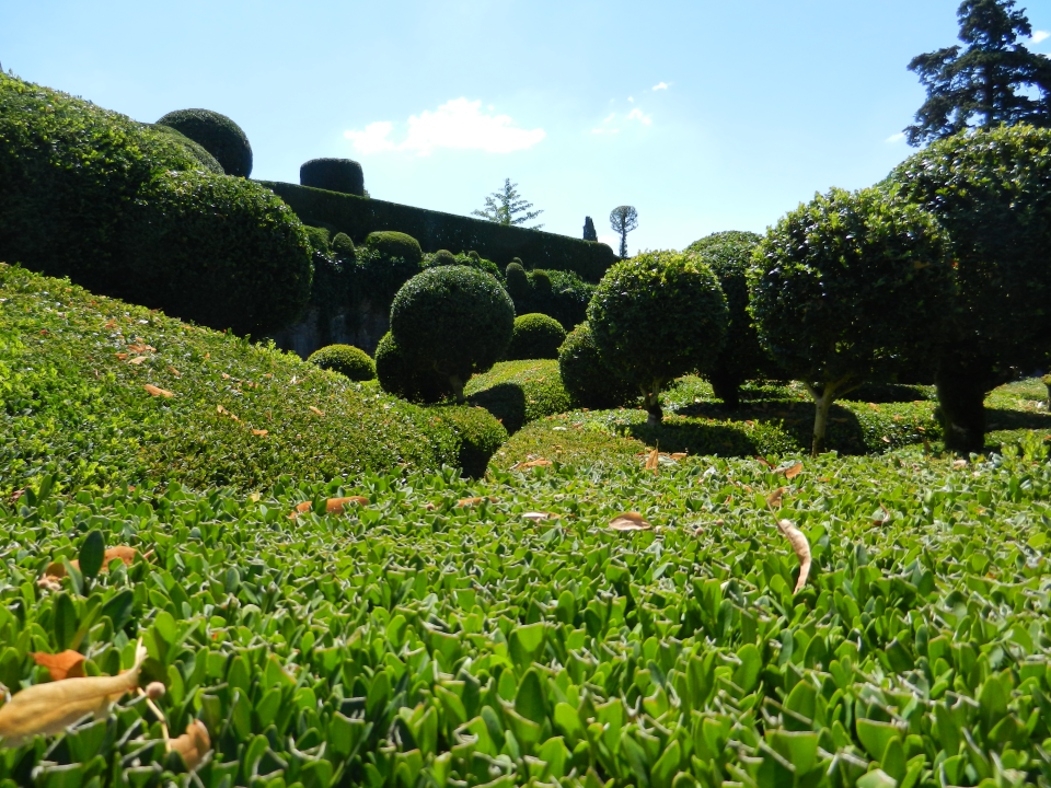 One of the main attraction of the gardens are the, according to their brochure, 150'000 boxtrees (and no: we didn't verify the number).