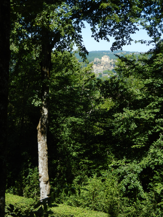 A look from the 1.6 km riding-alley a former owner built. The castle of Beynac framed by trees.