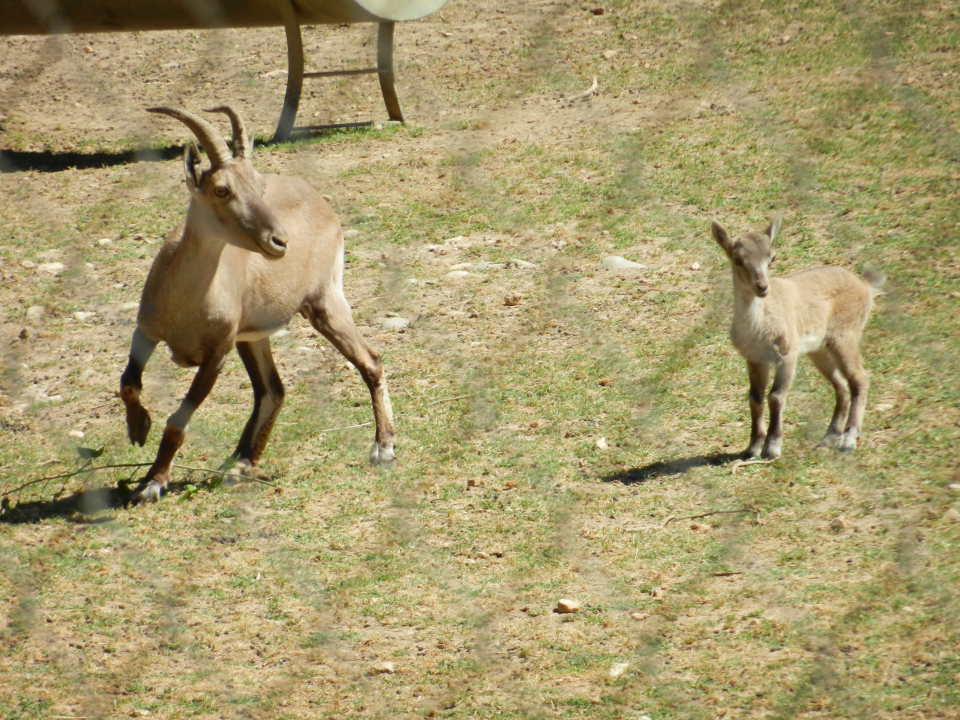 After the caves we visited 