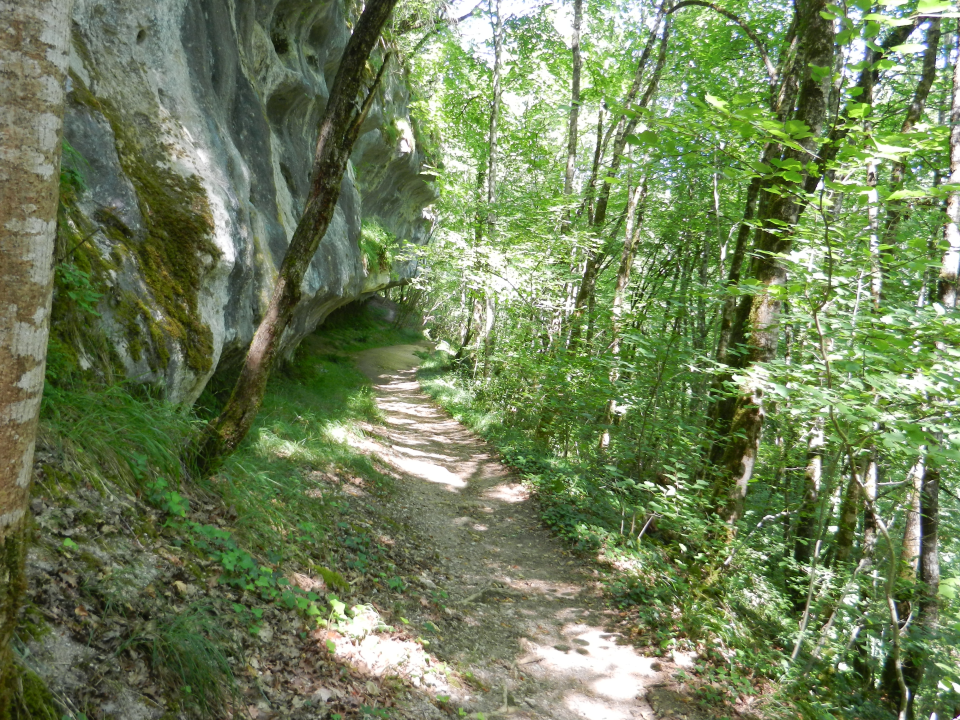 Along the path we found other little 